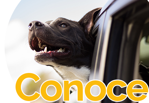 _Conoce