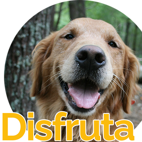 _Disfruta
